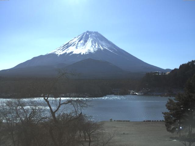 精進湖からの富士山