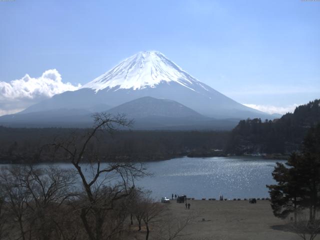 精進湖からの富士山