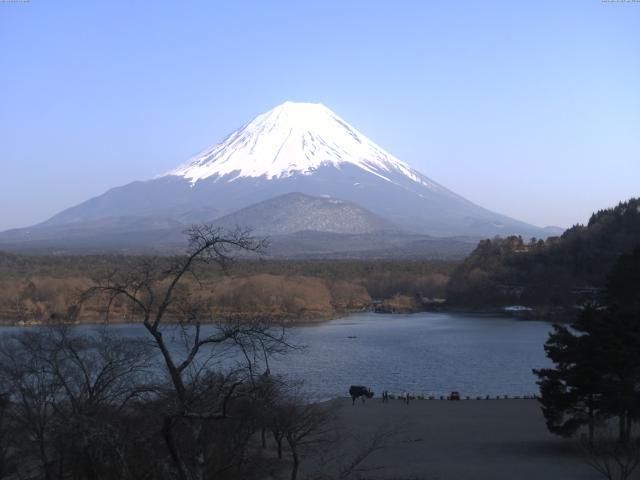 精進湖からの富士山