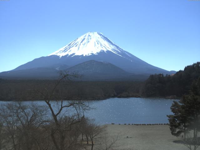 精進湖からの富士山