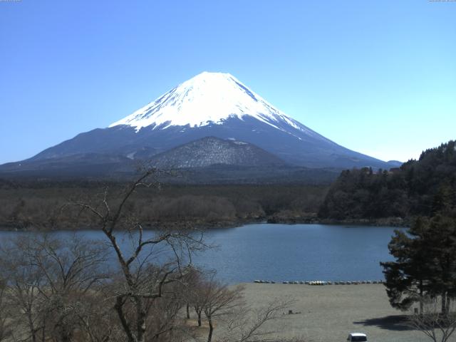 精進湖からの富士山