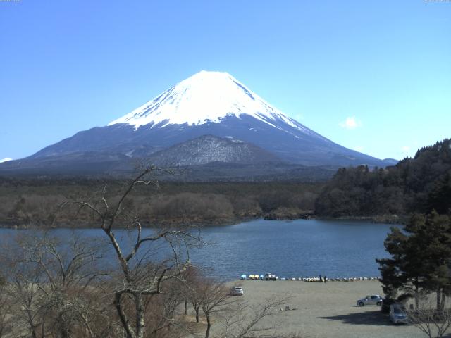 精進湖からの富士山