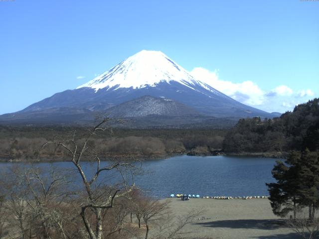 精進湖からの富士山