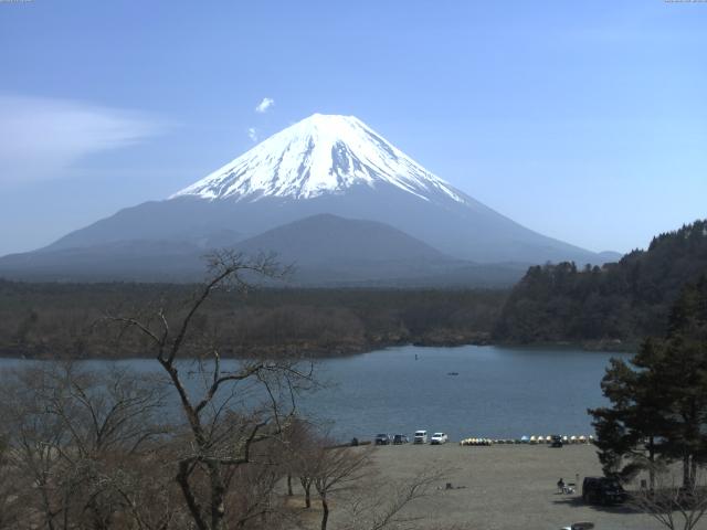 精進湖からの富士山