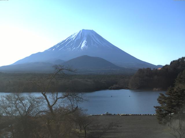 精進湖からの富士山