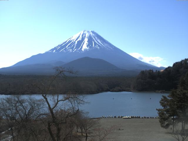 精進湖からの富士山