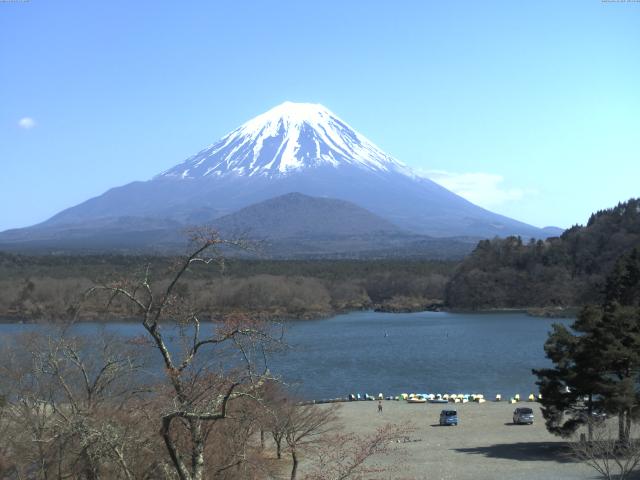 精進湖からの富士山