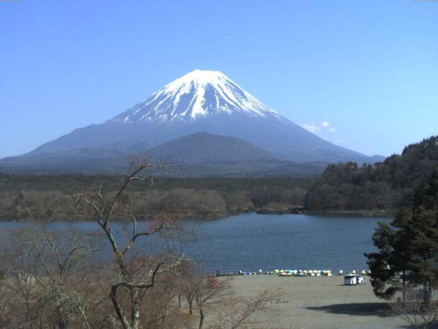 精進湖からの富士山