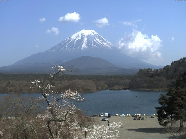 精進湖からの富士山