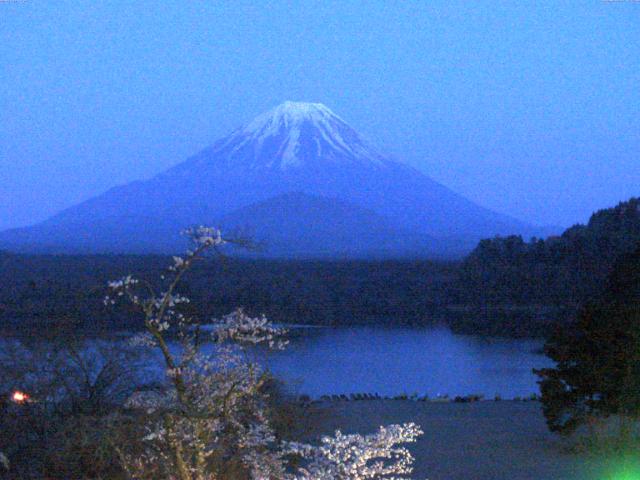 精進湖からの富士山