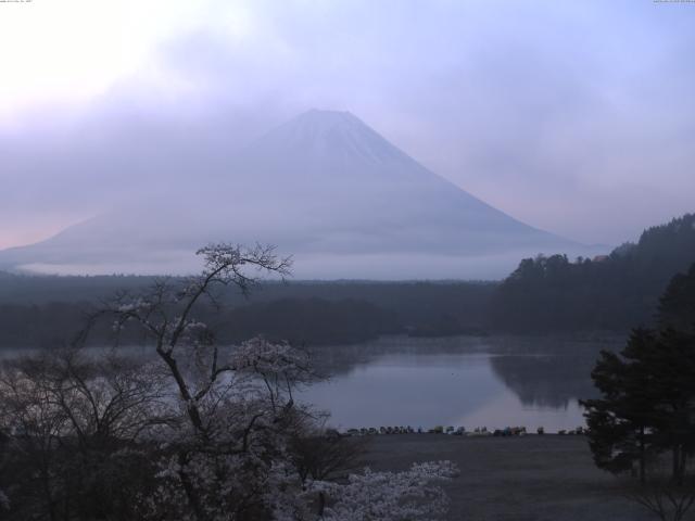 精進湖からの富士山