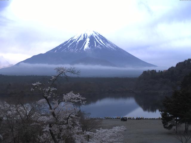 精進湖からの富士山