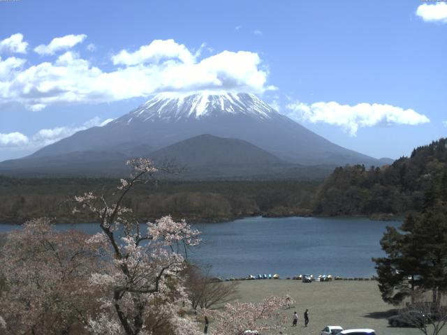 精進湖からの富士山