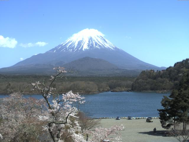 精進湖からの富士山