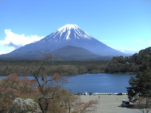 精進湖からの富士山