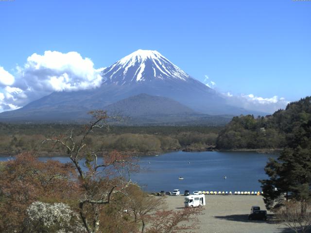 精進湖からの富士山