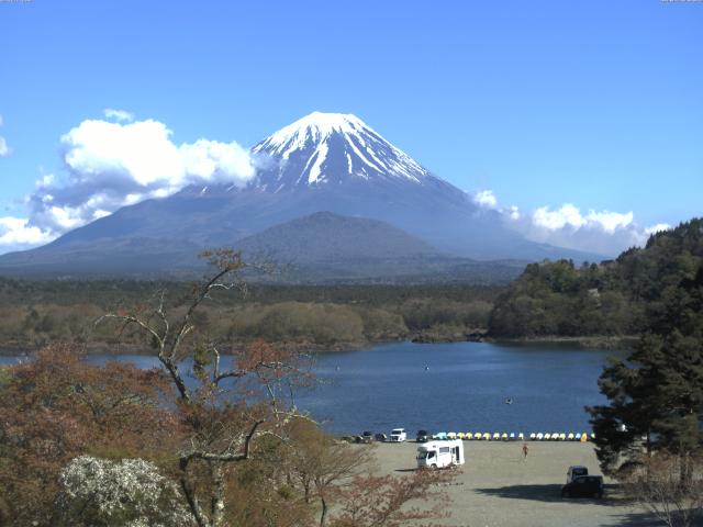 精進湖からの富士山