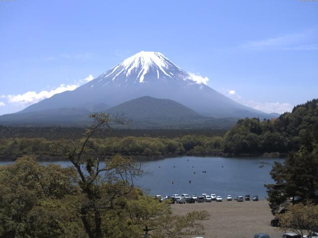 精進湖からの富士山