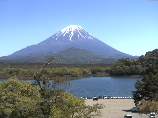 精進湖からの富士山