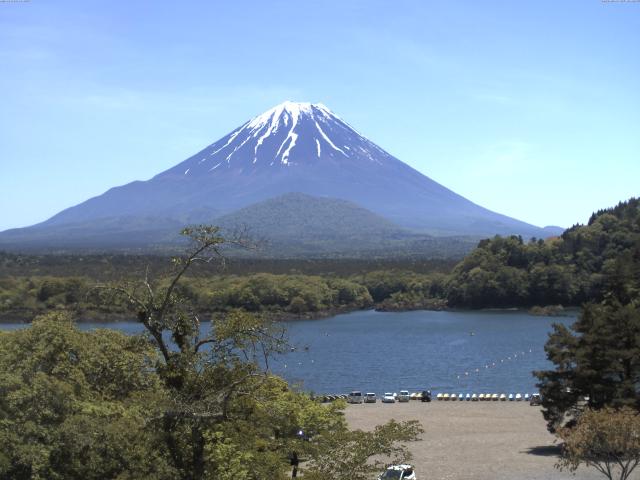 精進湖からの富士山