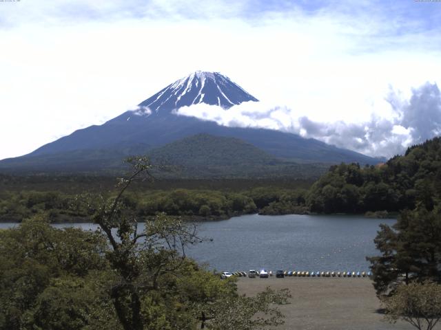 精進湖からの富士山