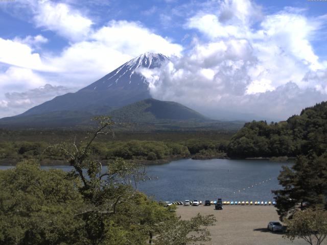 精進湖からの富士山