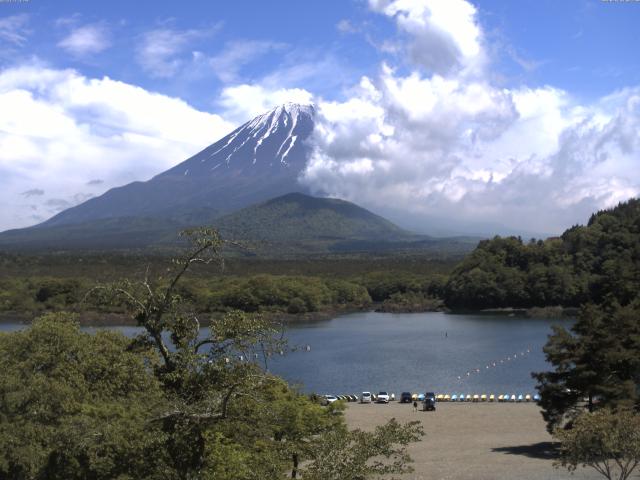 精進湖からの富士山