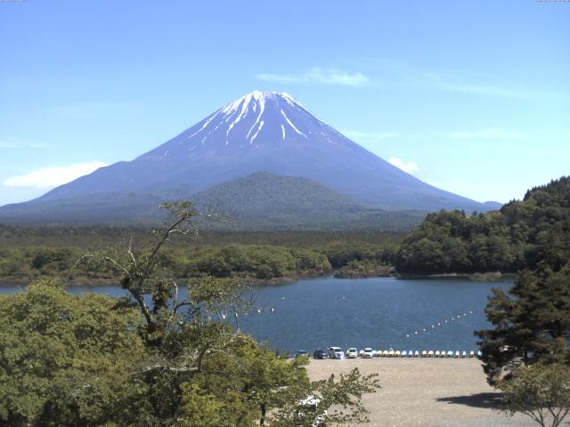 精進湖からの富士山