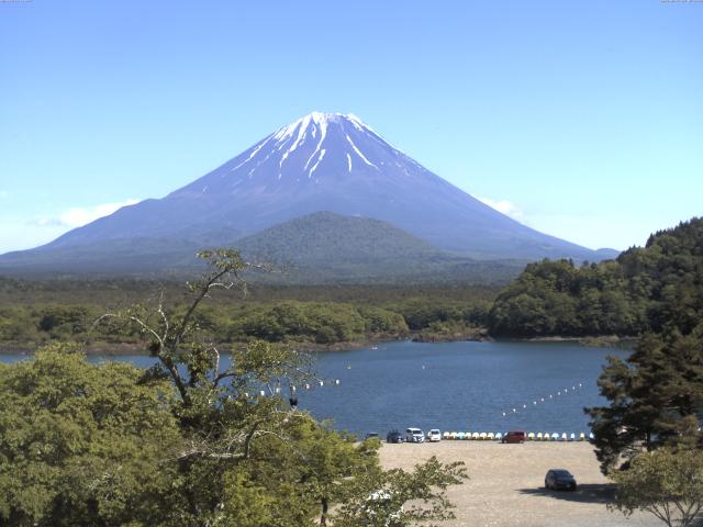 精進湖からの富士山