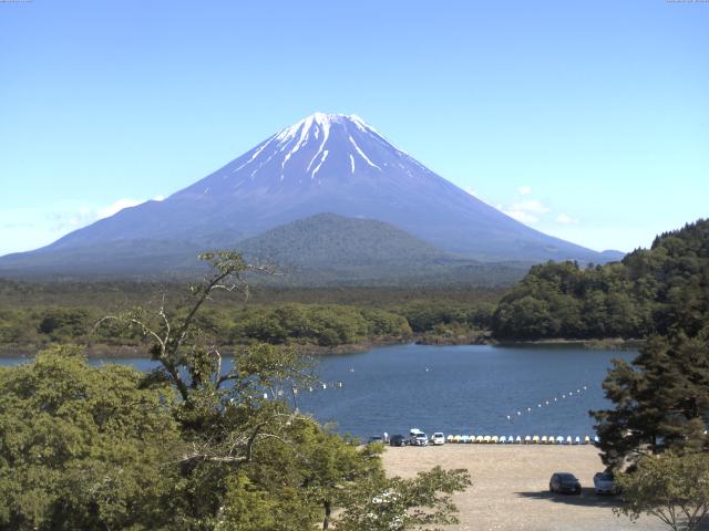 精進湖からの富士山