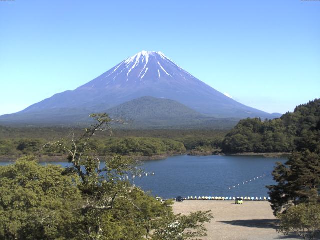 精進湖からの富士山