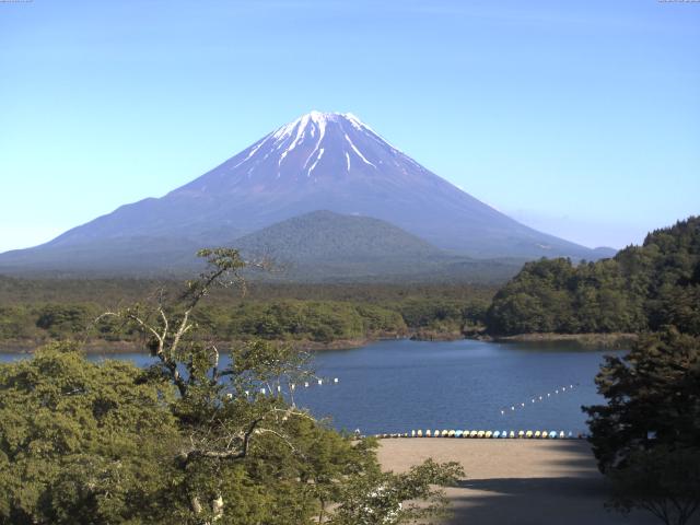 精進湖からの富士山