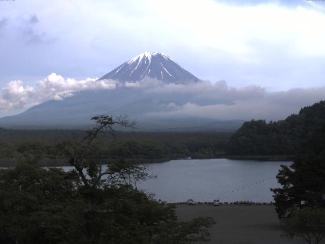 精進湖からの富士山