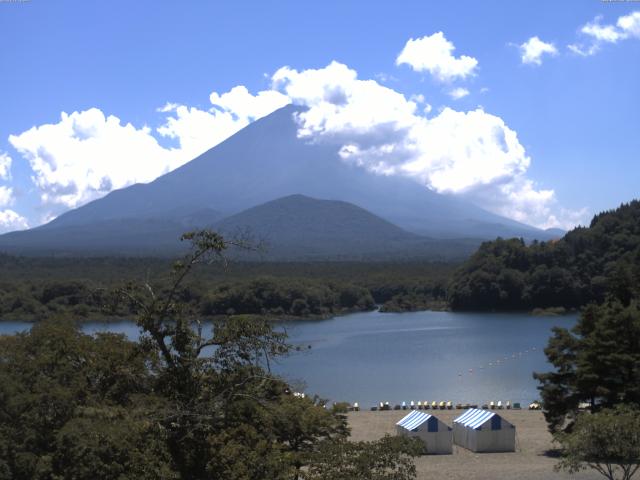 精進湖からの富士山