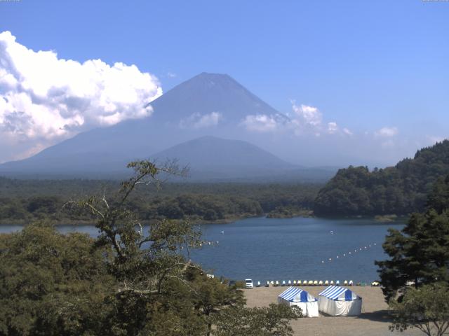 精進湖からの富士山