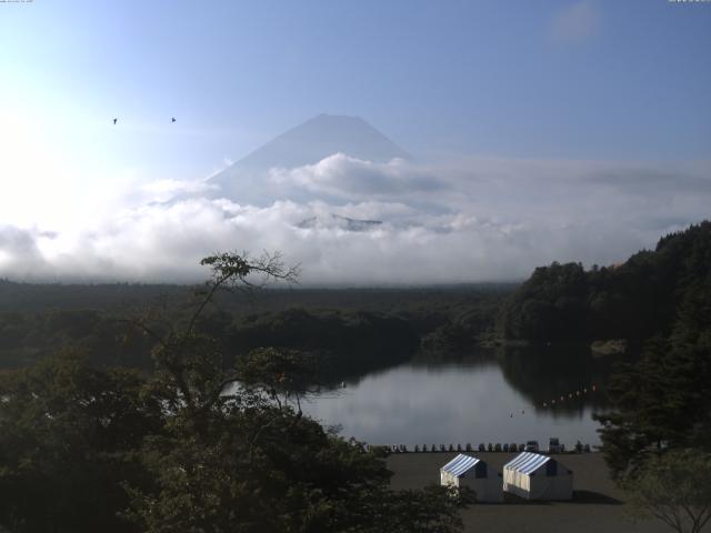 精進湖からの富士山