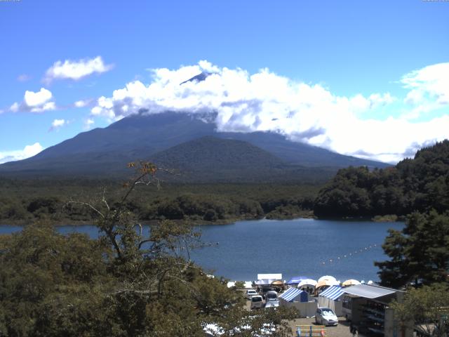 精進湖からの富士山