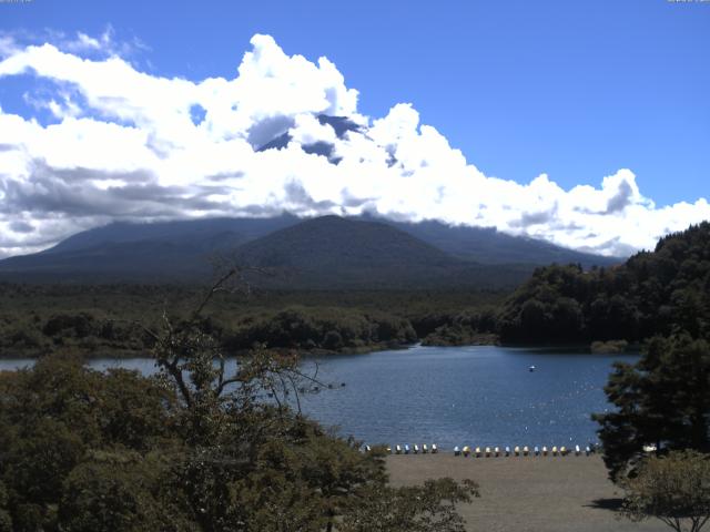 精進湖からの富士山