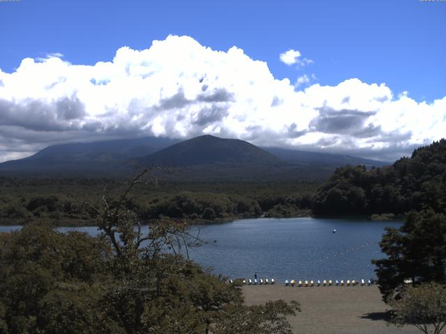 精進湖からの富士山