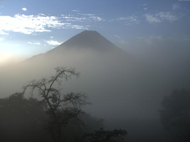 精進湖からの富士山