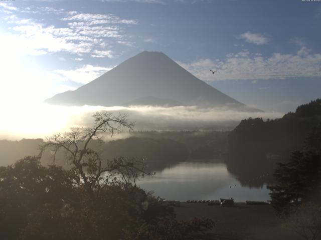 精進湖からの富士山