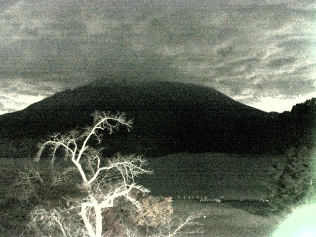 精進湖からの富士山