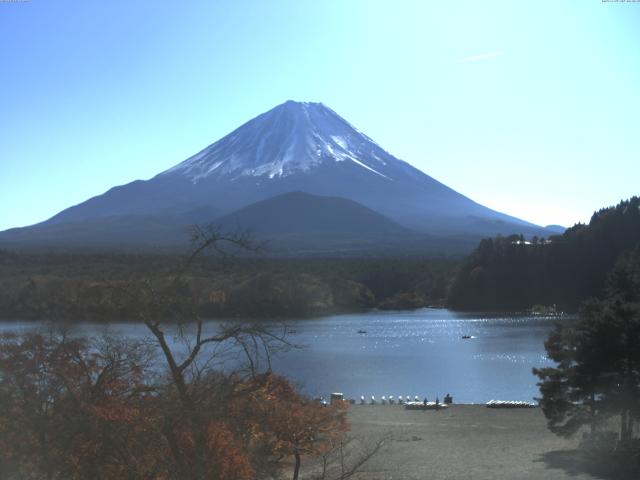 精進湖からの富士山