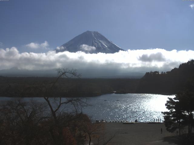 精進湖からの富士山