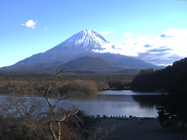 精進湖からの富士山