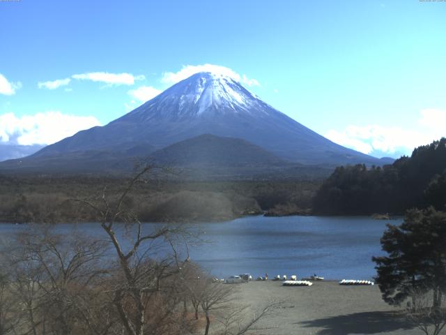 精進湖からの富士山