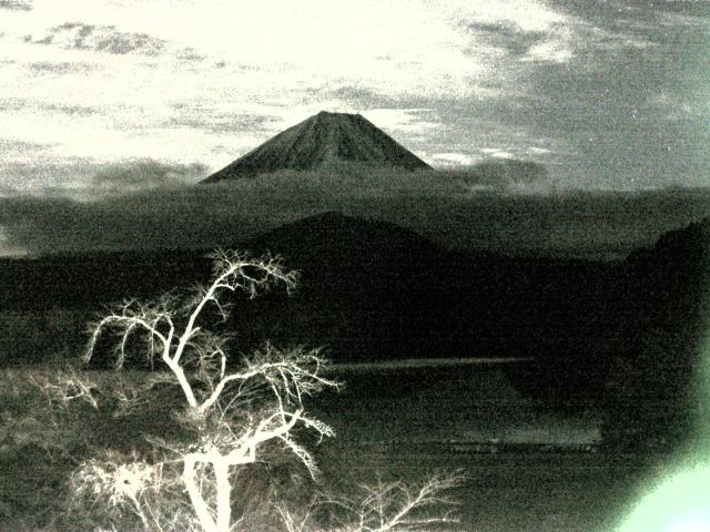 精進湖からの富士山