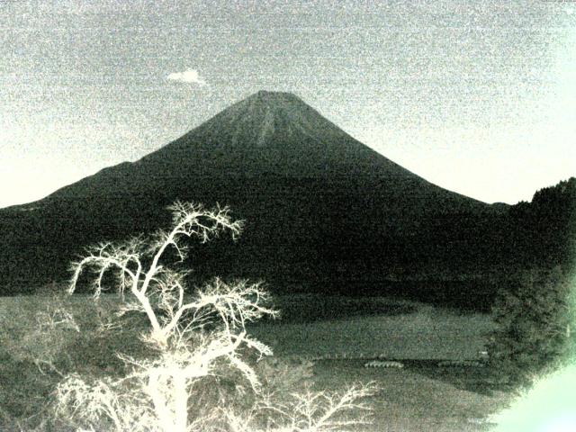 精進湖からの富士山