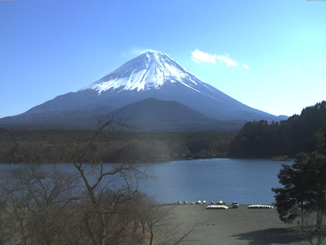 精進湖からの富士山