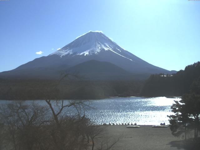 精進湖からの富士山